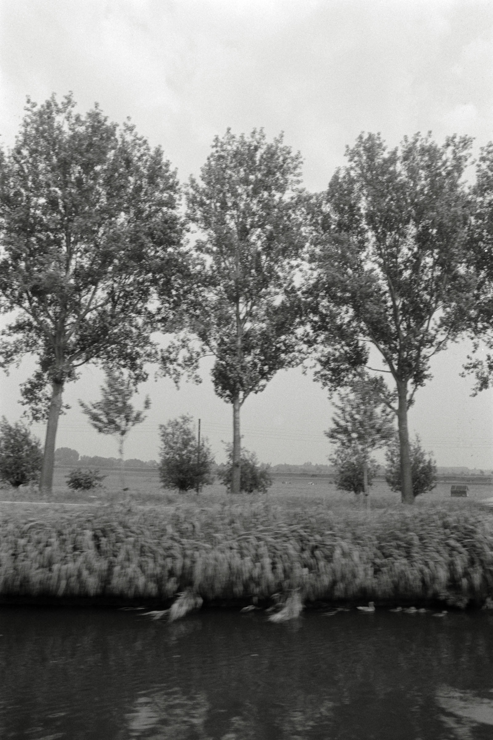 AHP F1992 06 002 sc250507 img23 NLP